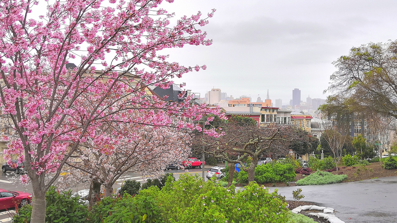 Ударим автопробегом по дикому западу! USA 2019 7-25 марта.