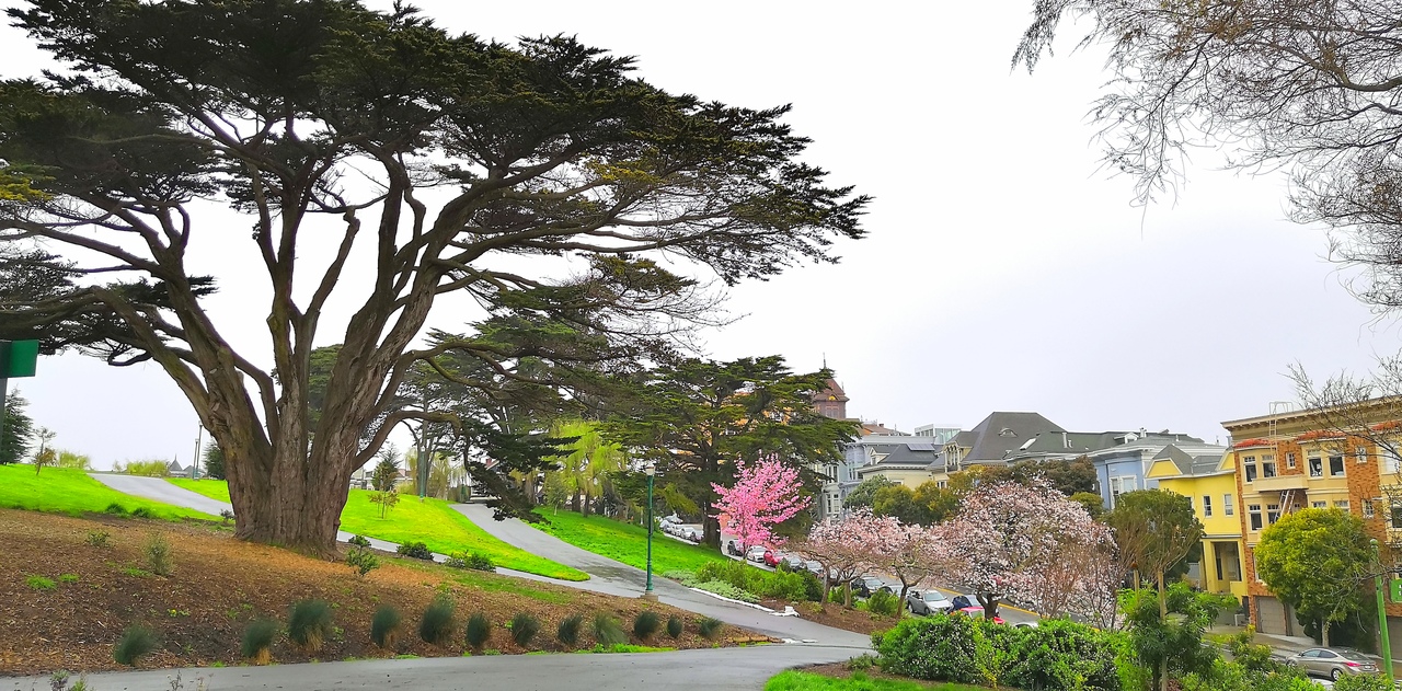 Ударим автопробегом по дикому западу! USA 2019 7-25 марта.