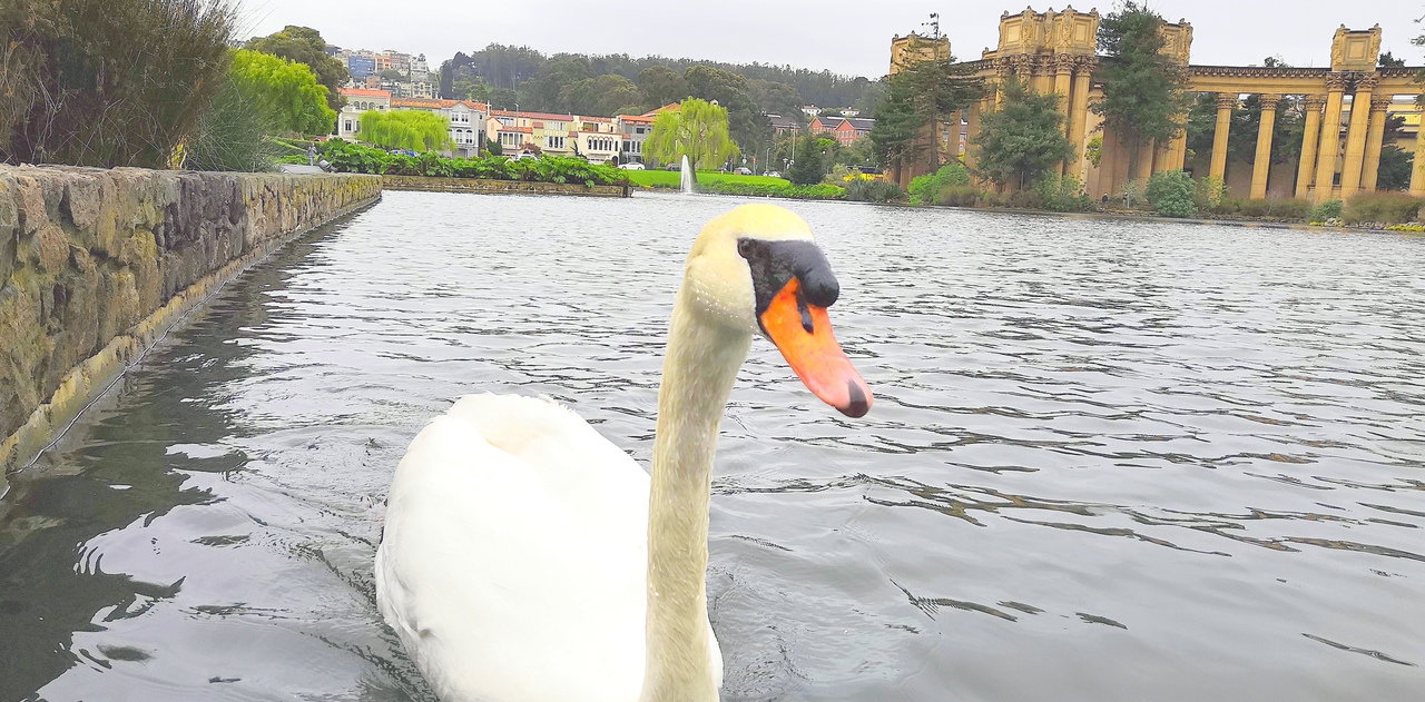 Ударим автопробегом по дикому западу! USA 2019 7-25 марта.