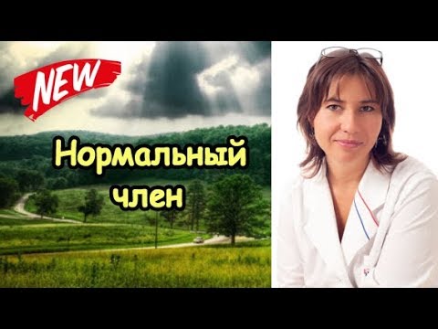 Какой размер полового члена норма