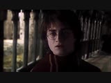 Drarry × Harry Potter & Cedric Diggory vine
