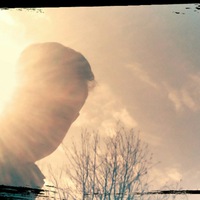 Илья Полищук | 