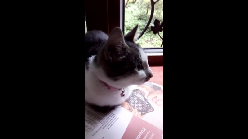 VID_20180722_091310.mp4