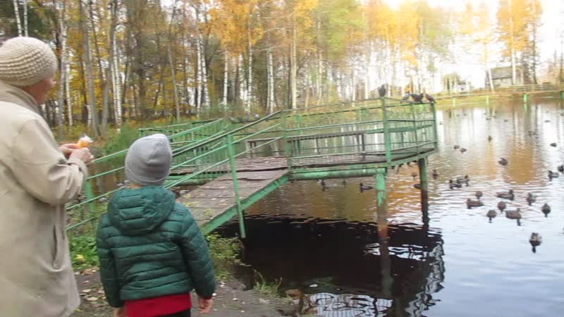 MVI_0914 16 ок 2018
