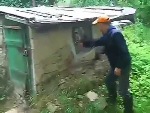 давай ебаш