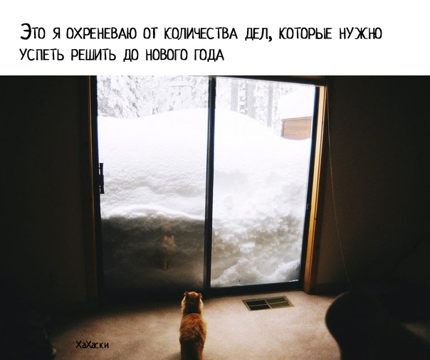 https://pp.userapi.com/c844418/v844418922/154e32/MlPVHwA4Fhw.jpg