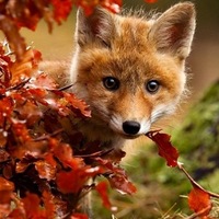 Владислав Громов | Курган