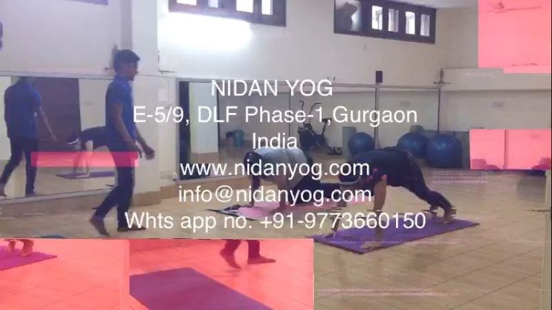 Nidan yog