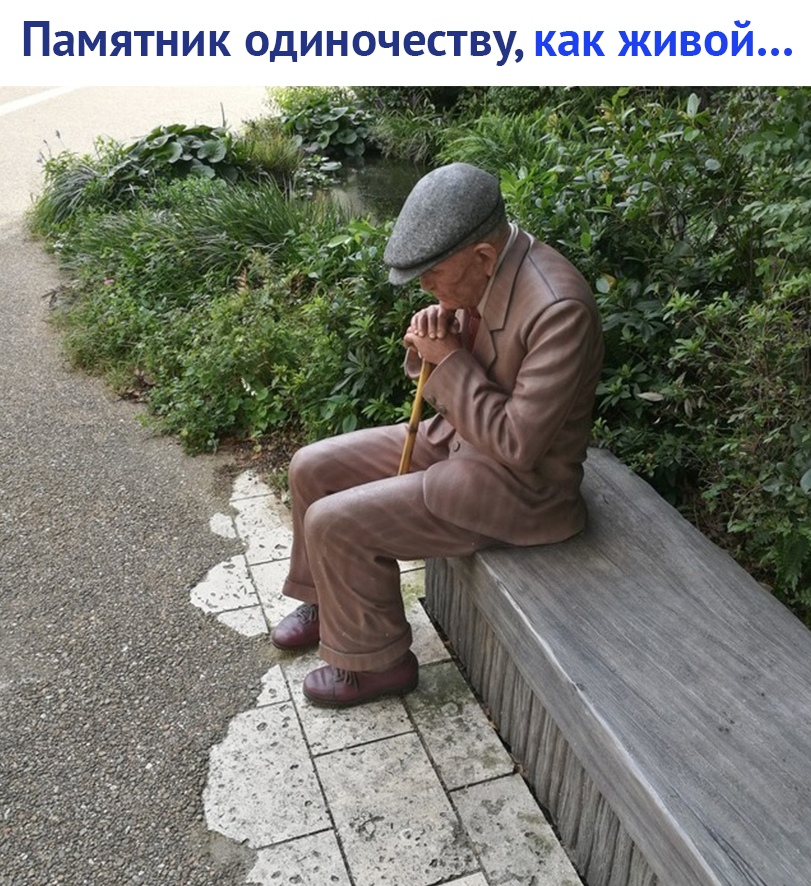 https://pp.userapi.com/c844520/v844520780/14f222/QPy54tqzuQg.jpg