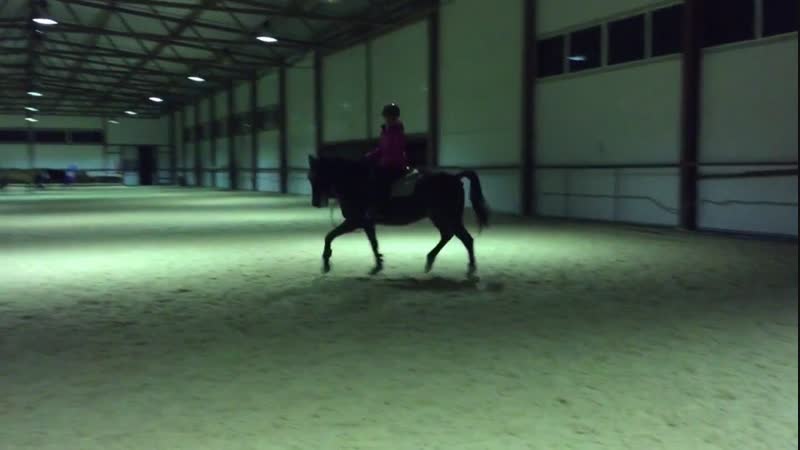 Я и Гришаня, рысь🐴