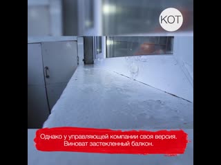 Котлашанка сломала руку из-за управляющей компании?