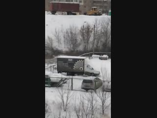 Вырубают деревья на Бардина 1