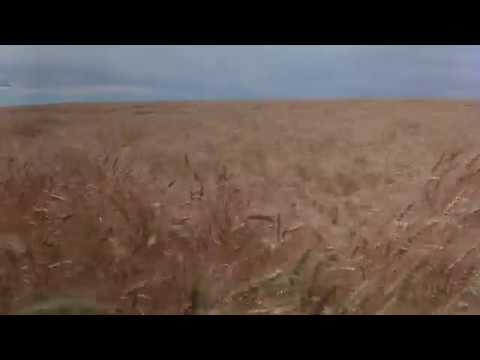 Max Richter - The Twins