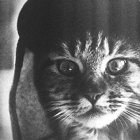 Костя Сорокин | Уржум