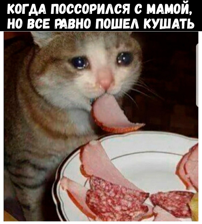 EwGUgL2bXSo.jpg