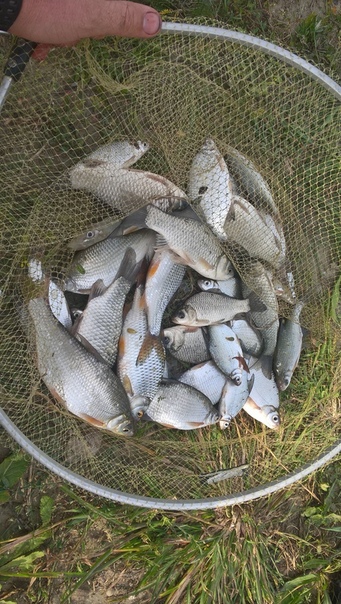Рыбалка — Кубань, Краснодарский край, 45.139, 37.629