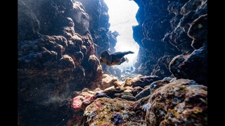 insane proximity freediving flight through a coral canyon