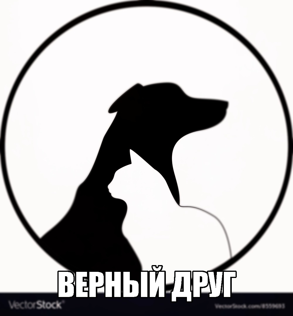 группа верный друг