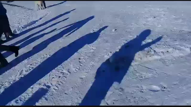 Karstan ECEL Iğdırdan EJDER.