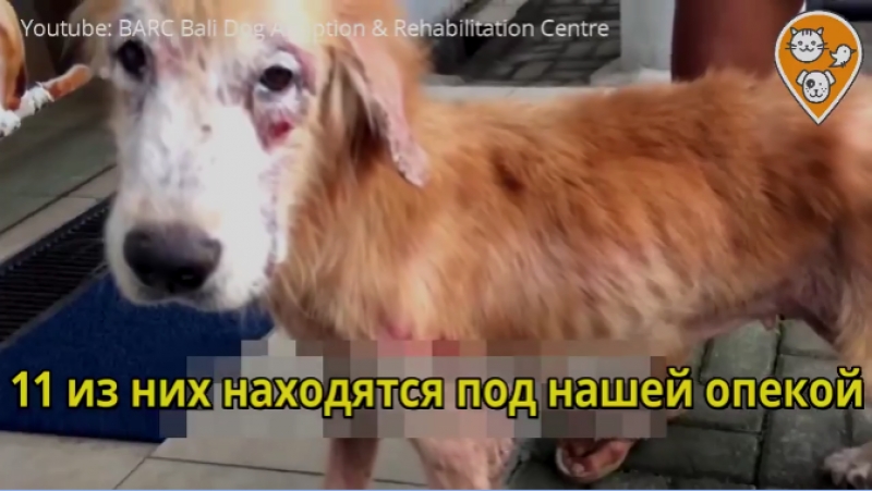 Адовый питомник