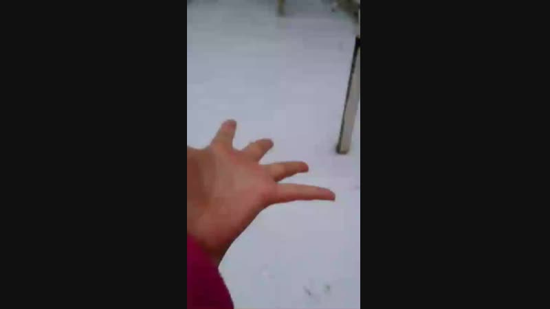 VID_31881210_011728_192.mp4