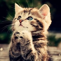 Марина Мещерякова | Москва