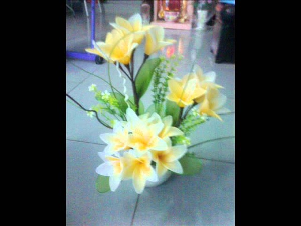 Hoa voan. thuy trang