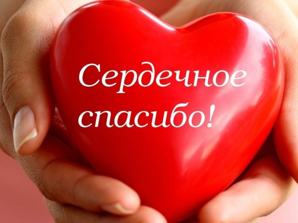 Благодарю Финаеву Ирину за помощь нашему мини — приюту «Остр