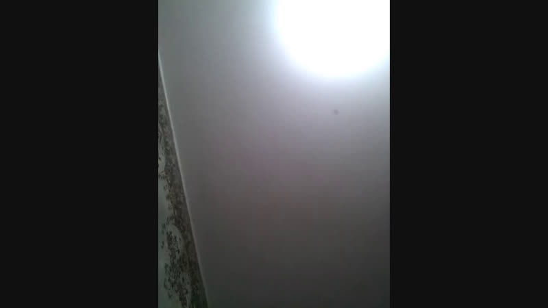 Адель Пак - Live