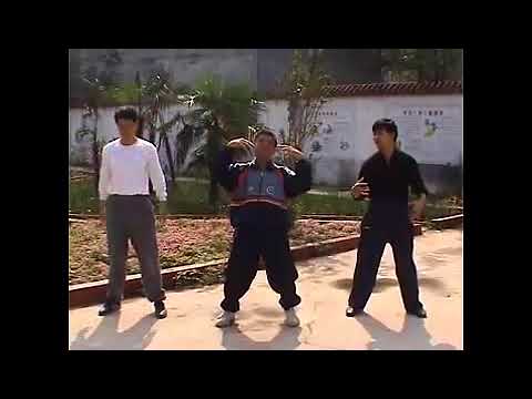 Modern Yiquan Fali Ex