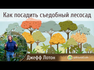 КАК ПОСАДИТЬ СЪЕДОБНЫЙ ЛЕСОСАД