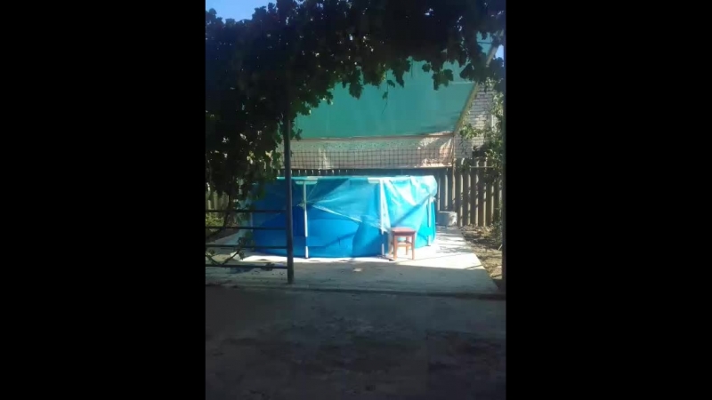 Вероника Варич - Live