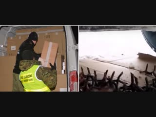 Контрабандисты усовершенствовали Fiat Ducato: при погоне авто выбрасывает на дорогу шипы