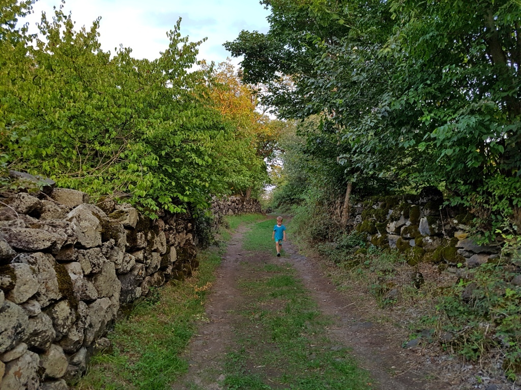 https://pp.userapi.com/c844616/v844616626/13191e/RScck0M0qYw.jpg