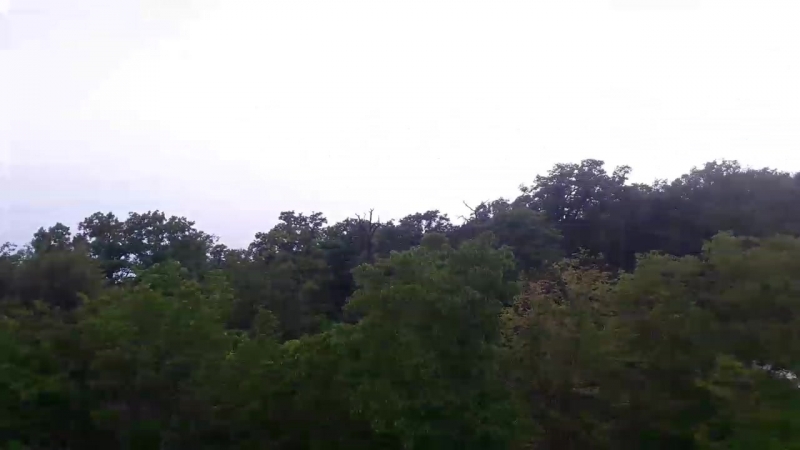 20180521_171227.mp4