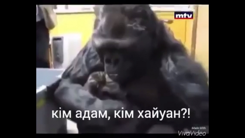 Не деген сумдык
