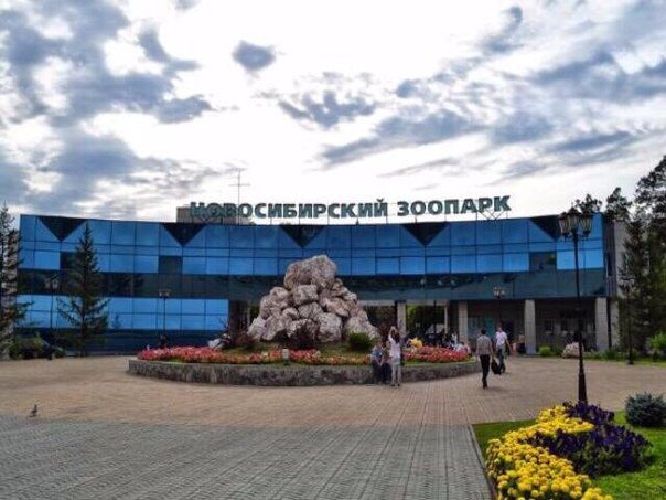 Камера в новосибирском зоопарке