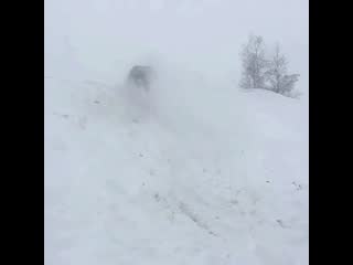 Official offroad