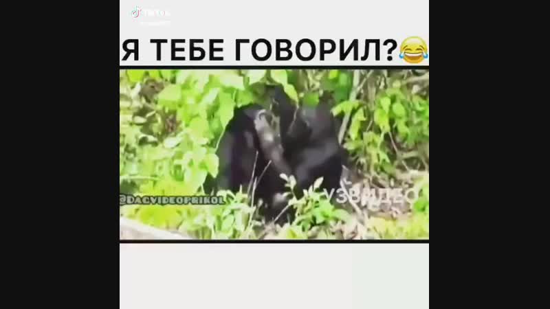 Губы