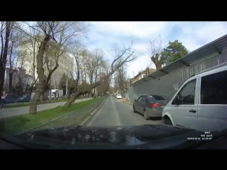 Падающее дерево на бульваре Франко