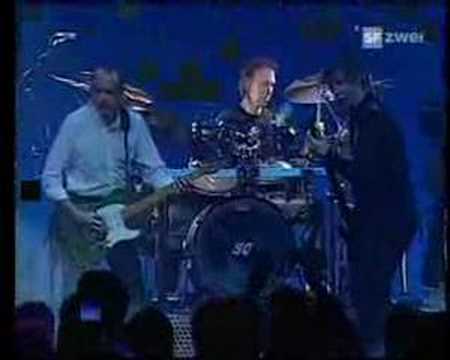 Belavista Man - Status Quo