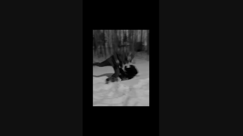 RIP ABEL