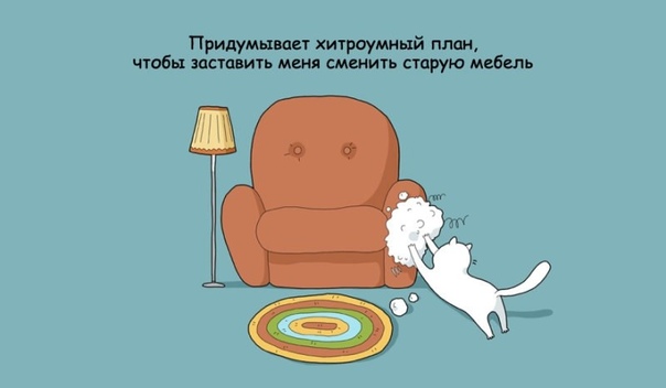 Чем занимается мой кот, пока меня нет дома Вы когда-нибудь видели, как кот смотрит вам в след, когда вы уходите, и будто думает: «Хотел бы я пожить в одиночку, без моих человеческих рабов. Моя