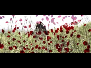 JGRXXN - November 56 (The Lil Peep Tribute)