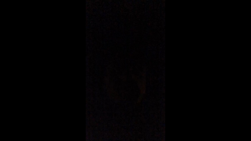 Никита Титов — Live