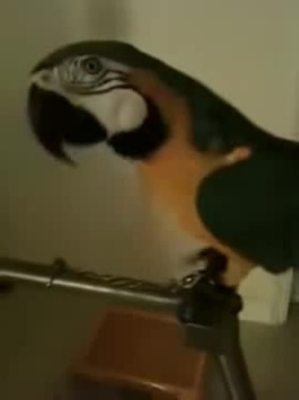 When you pissed off too much