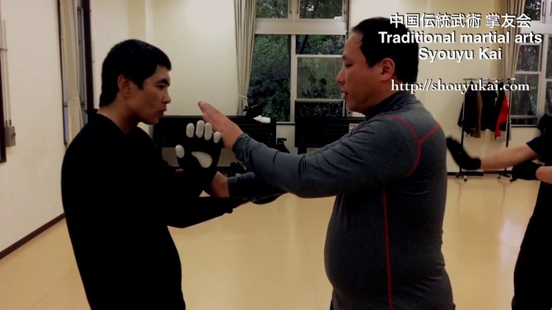 Dai xin yi hands technic 戴氏心意拳 入囲手法