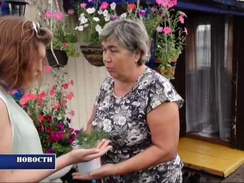 Эльза Уразметова, Новосафарово