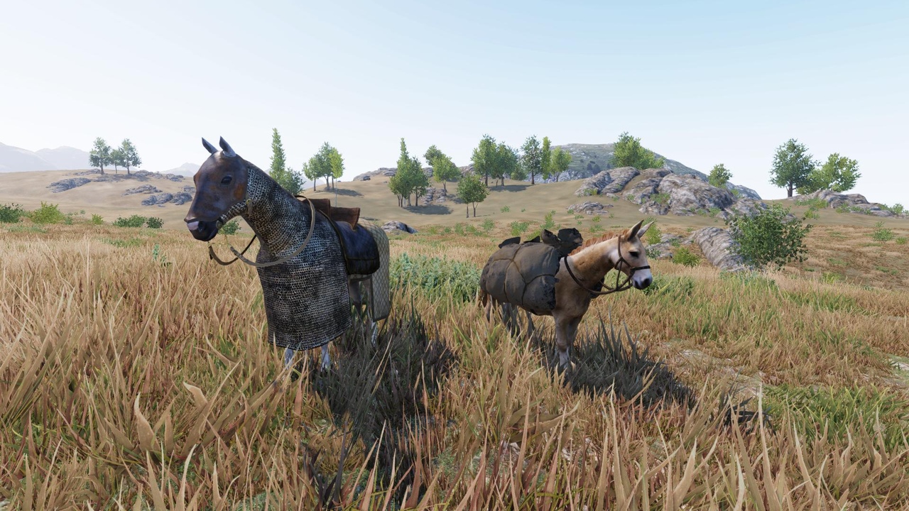 Mount & Blade 2 II: Bannerlord. Блог Разработчиков 95. Скорость передвижения отрядов Mount & Blade 2 II: Bannerlord. Блог Разработчиков 95. Скорость передвижения отрядов