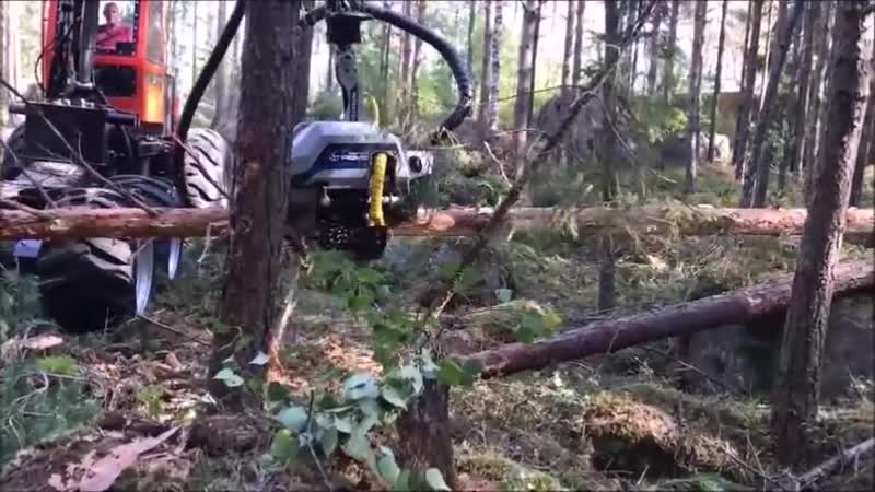 Uusi FinnBull Combi